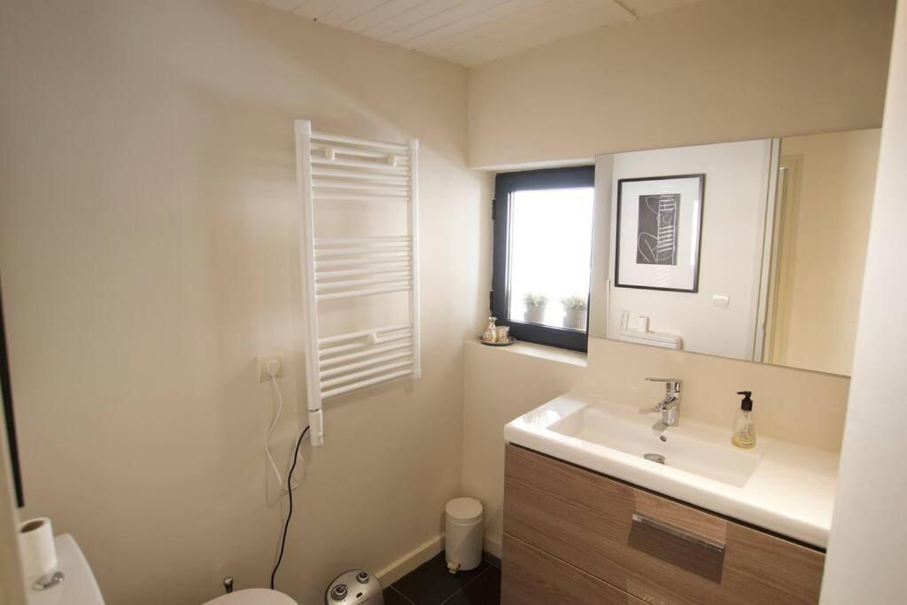 Apartament Central Amb Terrassa Alp Εξωτερικό φωτογραφία